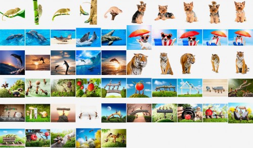 Shutterstock Mega Collection vol.7 - Animals