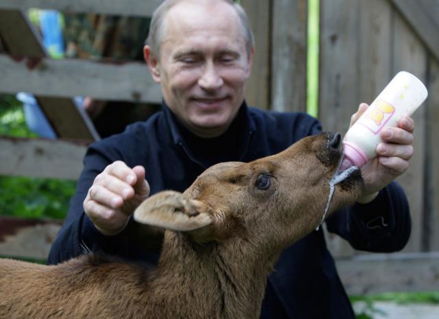 Самые примечательные моменты из жизни Владимира Путина