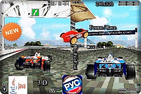 Formula Racing 3D /   3D 