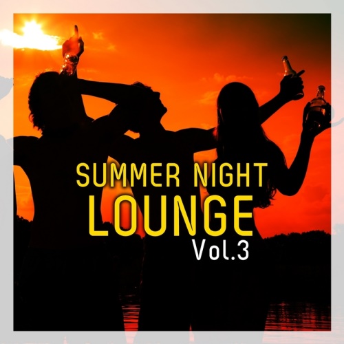 VA - Summer Night Lounge Vol 3 (2013)