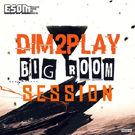 DIM2PLAY - Bigroom Session Level 9 (2015)
